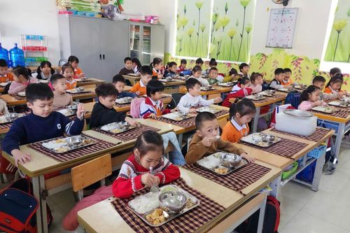 Bảo đảm an toàn thực phẩm trong trường 'từ khâu đầu vào đến bàn ăn của trẻ'