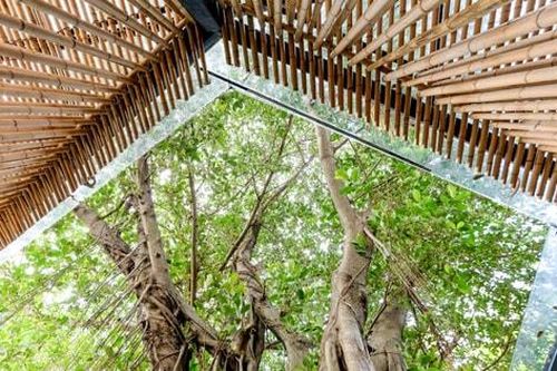 Kiến trúc xanh - bước chuyển tất yếu