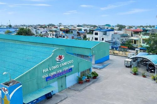 Đồ hộp Hạ Long tạm ngừng hoạt động từ hôm nay sau bê bối sản xuất pate Cột Đèn bằng lợn bệnh