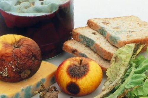Thực phẩm bẩn có thể gây ra những bệnh ung thư nào?