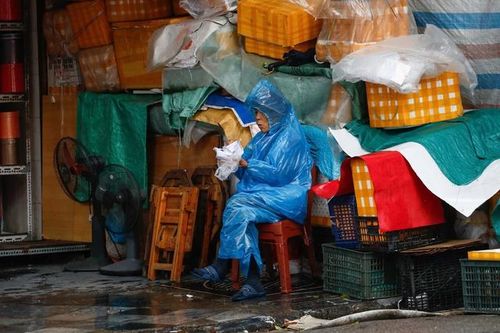 Dù rét buốt, mùa đông 2025–2026 vẫn ấm hơn trung bình nhiều năm