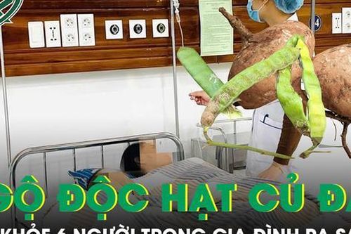 Tình trạng sức khỏe 6 người trong gia đình nhập viện vì ngộ độc hạt củ đậu