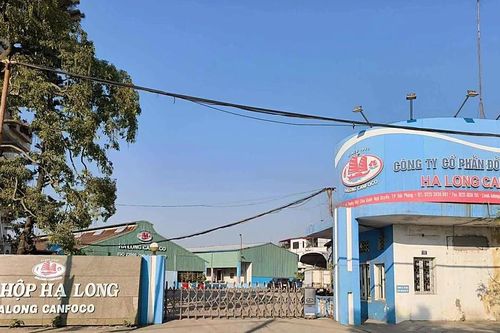 Hải Phòng báo cáo gì về kiểm tra, giám sát vệ sinh thú y đối với Công ty đồ hộp Hạ Long?