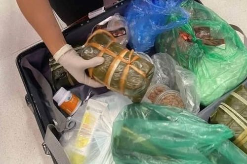 Lo ngại dịch tả lợn châu Phi, nhiều nước kiểm soát chặt thực phẩm khách mang theo người