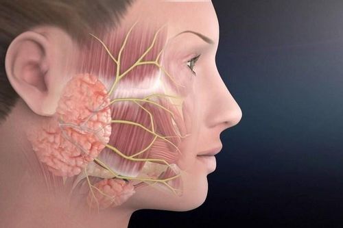 Rét đậm, rét hại làm gia tăng nguy cơ liệt dây thần kinh số 7