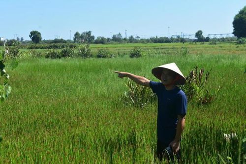 Đồng Sang ngày trở lại