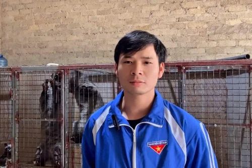 Thanh niên Hà Tĩnh khởi nghiệp với loài ít bệnh dễ nuôi, thu nửa tỉ đồng/năm