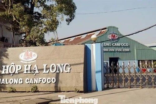 Lật giở quá trình phát hiện Công ty Đồ hộp Hạ Long làm patê bằng thịt lợn bệnh