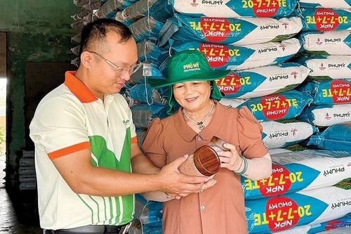 Những bước chân làm nên niềm tin Phú Mỹ