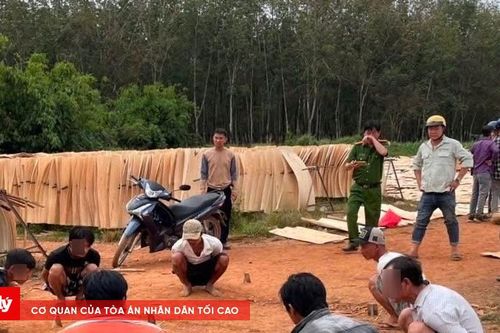 Đột kích tụ điểm cá độ đá gà giữa cao điểm trấn áp tội phạm