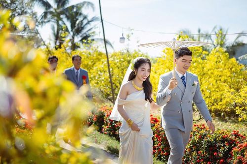 Mừng con gái lấy chồng, ông bố Cần Thơ cho cả vườn mai nở sớm