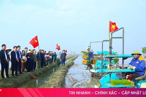 Mừng Đại hội XIV của Đảng, nông dân Hà Tĩnh sôi nổi sản xuất vụ xuân