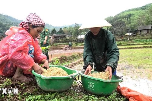 Quảng Trị: Những mô hình xanh 'thắp sáng' bản làng vùng cao