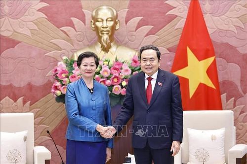 Chủ tịch Quốc hội tiếp Đại sứ các nước đến chào từ biệt