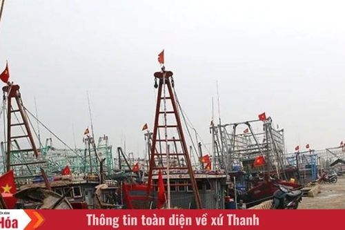 Ba cảng cá trực thuộc Ban Quản lý Cảng cá và Đăng kiểm tàu cá Thanh Hóa