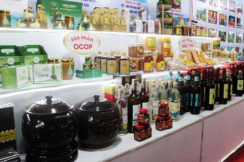 Tịnh Biên phát triển sản phẩm từ cây thốt nốt
