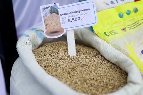 Indonesia đặt mục tiêu duy trì dự trữ 4 triệu tấn gạo đến năm 2029