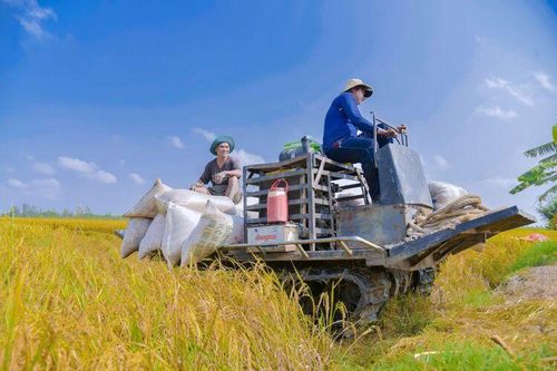 Xã Vĩnh Điều phấn đấu thu nhập bình quân đầu người đạt 72 triệu đồng/năm