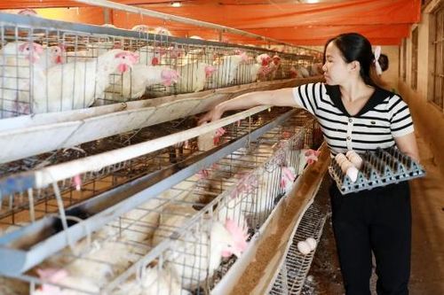 Giai đoạn 2026-2030, tỉnh Bắc Ninh còn hơn 7,7 nghìn hộ nghèo