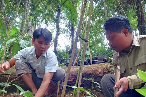 Nỗ lực vượt thu ngân sách
