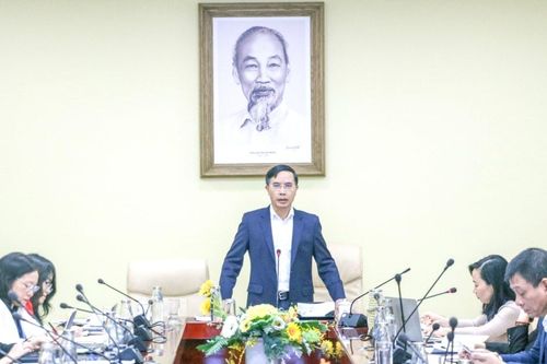 Tham vấn AVSE Global về chiến lược phát triển dài hạn thành phố Đà Nẵng