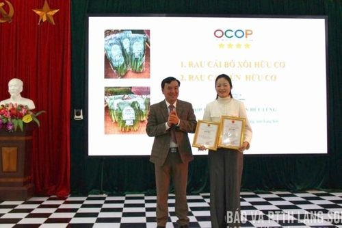 Trao giấy chứng nhận sản phẩm OCOP năm 2025 (đợt 2) cho 23 sản phẩm