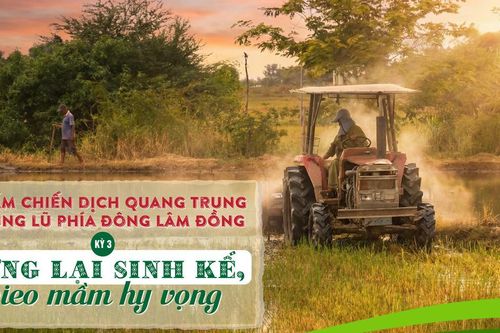 Dựng lại sinh kế, gieo mầm hy vọng