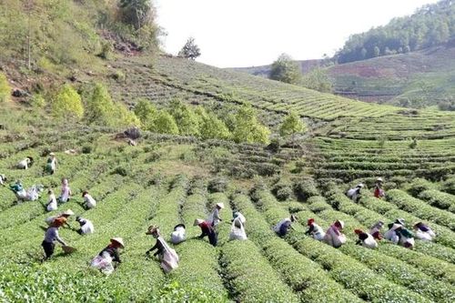 Khám phá du lịch Bình Thuận