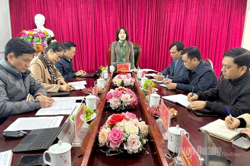 Trưởng đoàn ĐBQH chuyên trách tỉnh Lý Thị Lan làm việc tại xã Tùng Bá