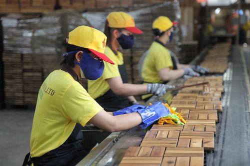 Xu hướng chuyển đổi sang mô hình xuất khẩu trực tuyến trên Amazon: Câu chuyện của Green Mekong