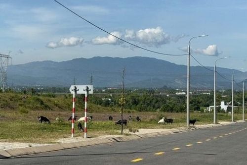 Đà Nẵng: Đẩy nhanh tiến độ đầu tư hạ tầng cụm công nghiệp, tránh lãng phí nguồn lực