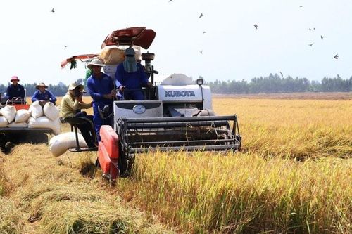 Khoa học, công nghệ giúp tăng hiệu quả nông nghiệp 10 - 30%