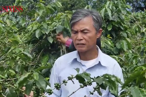 Chuyển đổi số: Cơ hội nâng cao giá trị nông sản vùng cao Quảng Trị