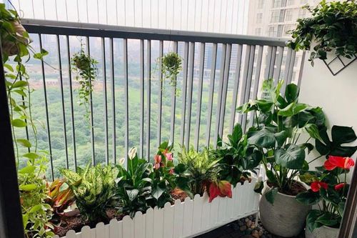 Dọn nhà đón Tết chú ý 7 khu vực để xua đuổi xui xẻo, rước may mắn về