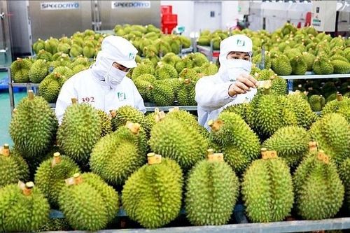 ESG - giấy thông hành cho xuất khẩu của nông sản Việt