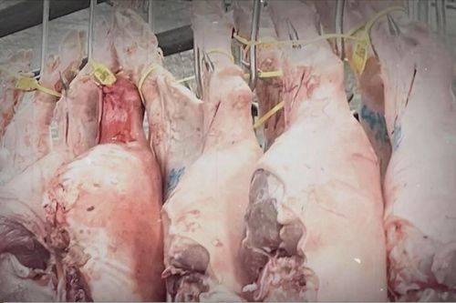 Lỗ hổng an toàn thực phẩm kéo theo hệ lụy kinh doanh