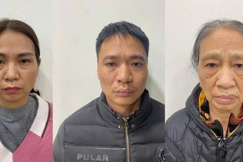 Thổi phồng công dụng cây khô, chiếm đoạt hàng chục triệu đồng