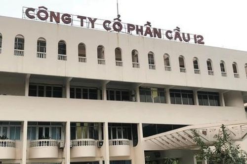 Công ty Cổ phần Cầu 12 không công bố báo cáo tài chính theo quy định