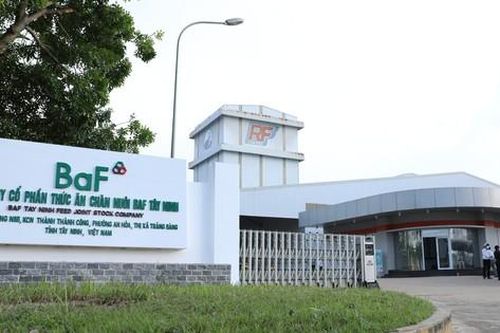 AGR khuyến nghị mua đối với cổ phiếu BAF, BSI và TCB