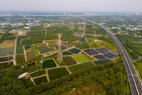 Hướng tuyến cầu Cần Giờ sẽ khởi công ngày 15/1