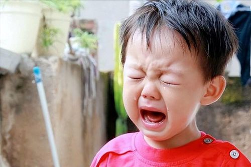 Nghiên cứu suốt 40 năm: Đứa trẻ càng hay cãi cha mẹ sau này càng có tố chất làm triệu phú!