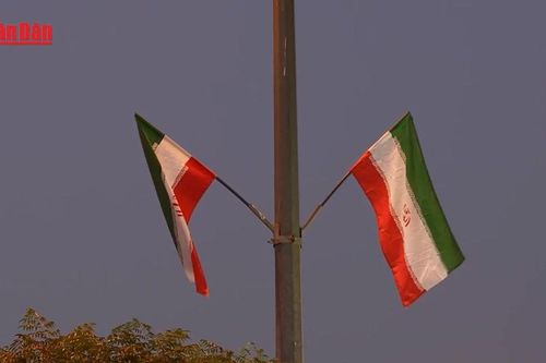 Iran thừa nhận khoảng 2.000 người thiệt mạng vì biểu tình