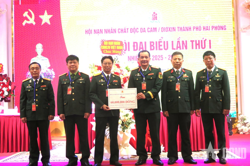 Chăm lo kiện toàn tổ chức hội và giúp đỡ nhiều hơn cho nạn nhân chất độc da cam