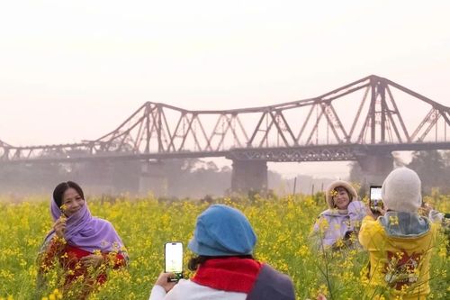 Ngỡ ngàng với bến hoa rực rỡ bên cây cầu hơn 100 năm tuổi ở Hà Nội