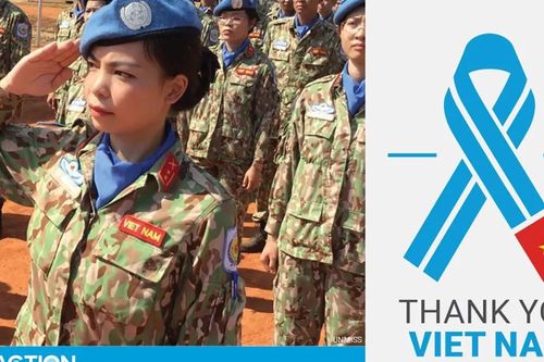 Đối ngoại Việt Nam qua hành trình 40 năm Đổi Mới: Cùng đất nước bay trên đôi cánh 'sức mạnh mềm'