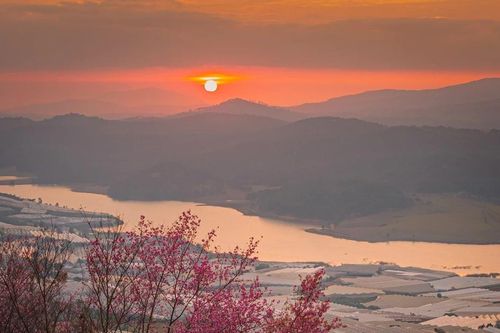 Đến Mộng Đào Nguyên ngắm mai anh đào khoe sắc, chọn đi tour hay tự túc?