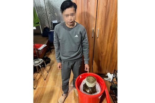 Đối tượng mua bán bình rượu ngâm rắn Hổ mang chúa bị khởi tố