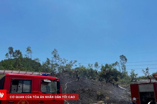 Gần 20 tỷ đồng đầu tư hệ thống bảo vệ, phòng cháy rừng thông minh