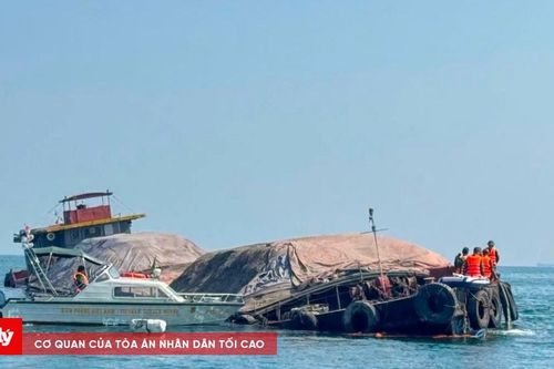 Kịp thời hỗ trợ tàu hàng đâm vào đá ngầm ở vịnh Lan Hạ