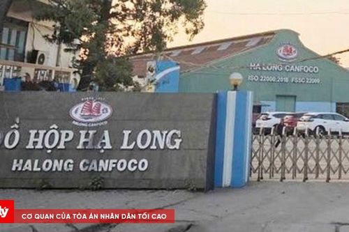 Vụ hơn 130 tấn thịt lợn nhiễm dịch: Thêm 2 người có liên quan ra đầu thú